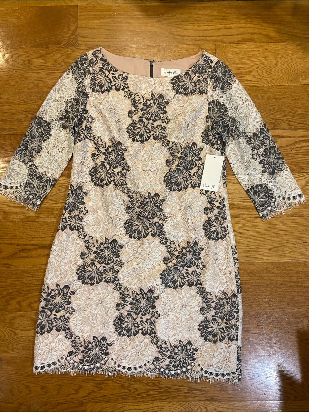Harper Rose cream and black floral lace shift/sheath dress